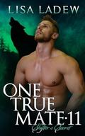 One True Mate 11: Shifter's Secret by Lisa Ladew
