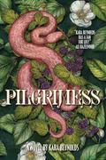 Pilgrimess by Kara Voorhees Reynolds
