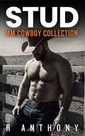 STUD: MM Gay Cowboy Collection (MM Collection #8) by Anthony R