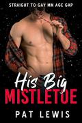 His Big Mistletoe: Straight to Gay MM Age Gap by Pat Lewis