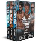 BROTHERHOOD PROTECTORS HAWAII BOXED SET 1: Books 1, 2, 3 by Elle James