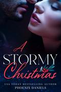 A Stormy Christmas by Phoenix Daniels