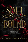 Soul Bound (The Shadow World #2) by Aubrey Winters