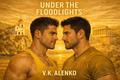 Under The Floodlights (The Advantage #6) by V.K. Alenko