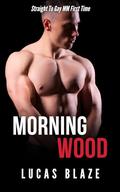 Morning Wood: Straight To Gay MM First Time by Lucas Blaze