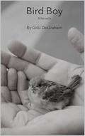 Bird Boy: A Novella by GiGi DeGraham