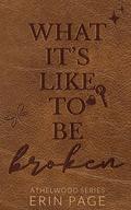 What It's Like To Be Broken by Erin Page