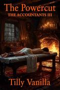 The Accountants 3: The Power Cut by Tilly Vanilla