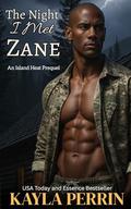 The Night I Met Zane by Kayla Perrin