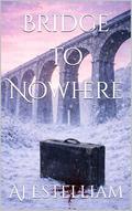 Bridge to Nowhere (Emerson and Snow #5) by AJ Estelliam