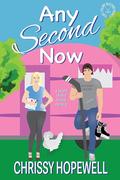 Any Second Now (Fort Collins Blizzard Hockey #2) by Chrissy Hopewell