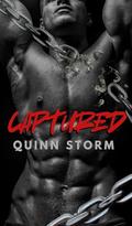Captured: An M/M Captivity Romance by Quinn Storm