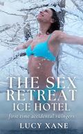 The Sex Retreat - Ice Hotel: First Time Accidental Swingers by Lucy Xane