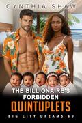 The Billionaire's Forbidden Quintuplets: BWWM, Billionaire, Enemies To Lovers, Secret Father Romance (Big City Dreams #60) by BWWM Love
