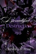 Beautiful Destruction (Collateral Destruction #3) by Christina B. Rose