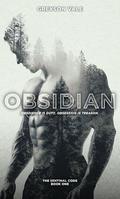 Obsidian: The Sentinel Code Book One by Greyson Vale