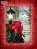 Christmas Magic by Terri Rochenski