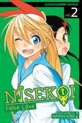 Nisekoi: False Love, Volume 2 by Naoshi Komi