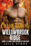 Curvy Wives of Willowbrook Ridge: Books 1 - 4 A Small Town Instalove OTT Short Romance by Julia Stone