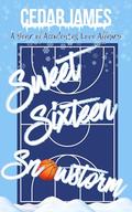 Sweet Sixteen Snowstorm by Cedar James, Nicole Lenz