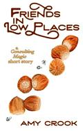 Friends in Low Places (Consulting Magic #4.5) by Amy Crook