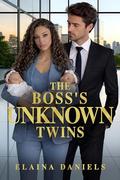 The Boss's Unknown Twins: BWWM, Billionaire, CEO, Secret Baby Romance (Florida Love #2) by BWWM Love