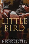 Little Bird by Nichole Steel
