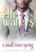 A Small Town Spring (Rosedale Seasons #5) by Elle Waters