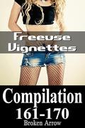 Freeuse Vignettes 161-170 (Freeuse Vignettes Compilations #17) by Broken Arrow