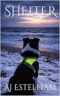 Shelter (Emerson and Snow #10) by AJ Estelliam