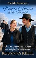 Where Amish Love Awaits by Rosanna Riehl