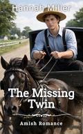 The Missing Twin by Hannah Miller