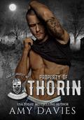 Property of Thorin (Kings of Anarchy: Massachusetts #2) by Amy Davies