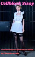Cellblock Sissy: Crossdressing transformation in prison by Christina Bruler