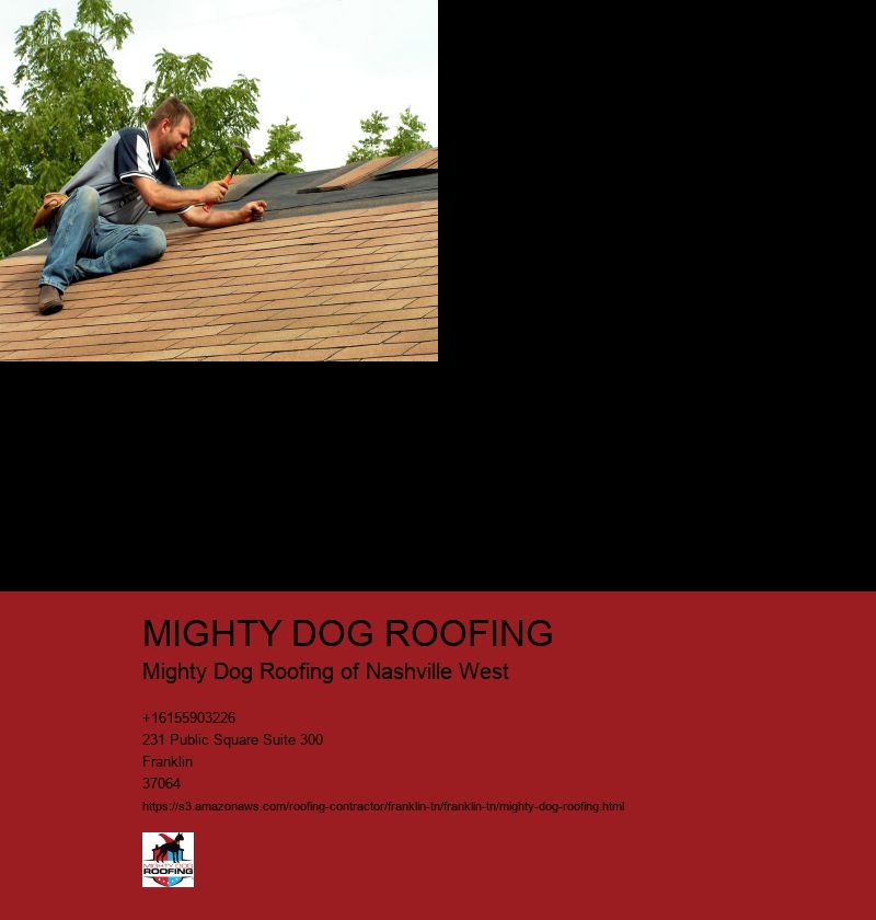 MIGHTY DOG ROOFING