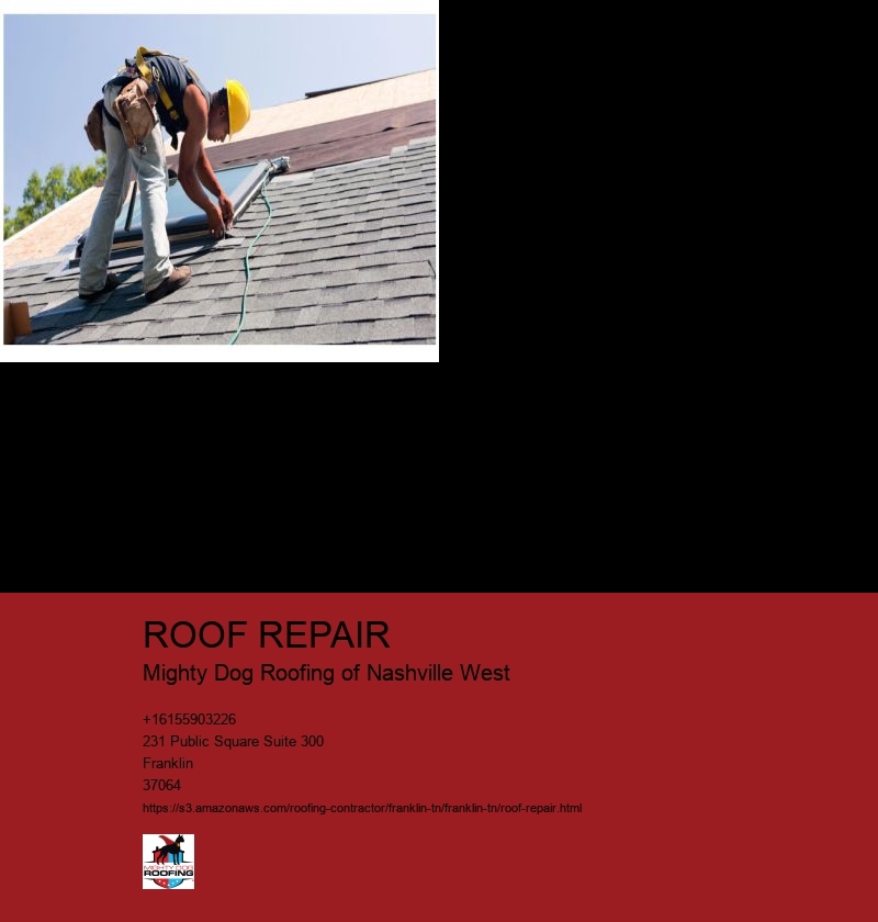 ROOF REPAIR