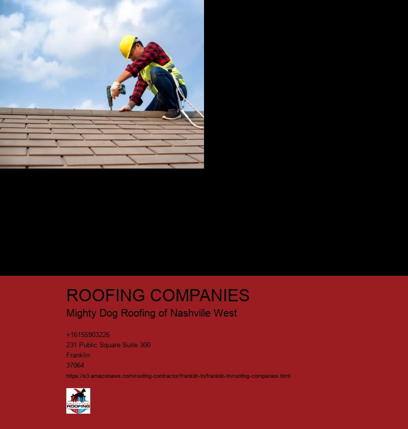 ROOFING COMPANIES