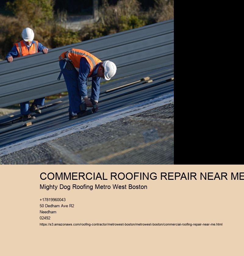 RESIDENTIAL ROOFING SERVICES