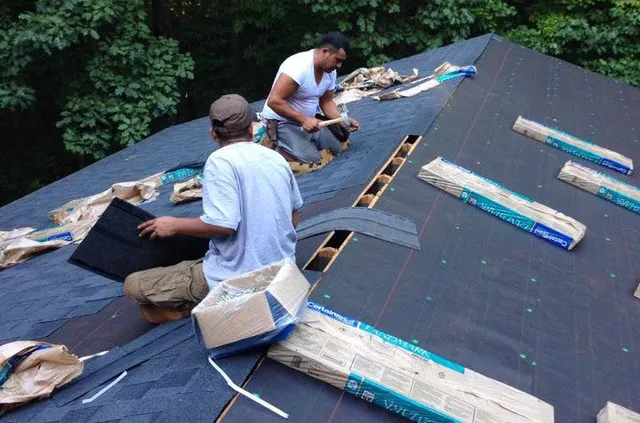 ROOF REPAIR PINELLAS PARK FL