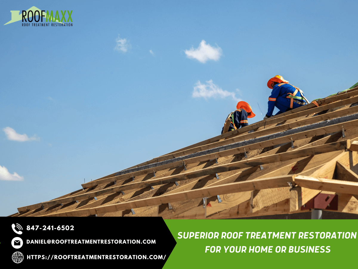 Replacing Shared Roof