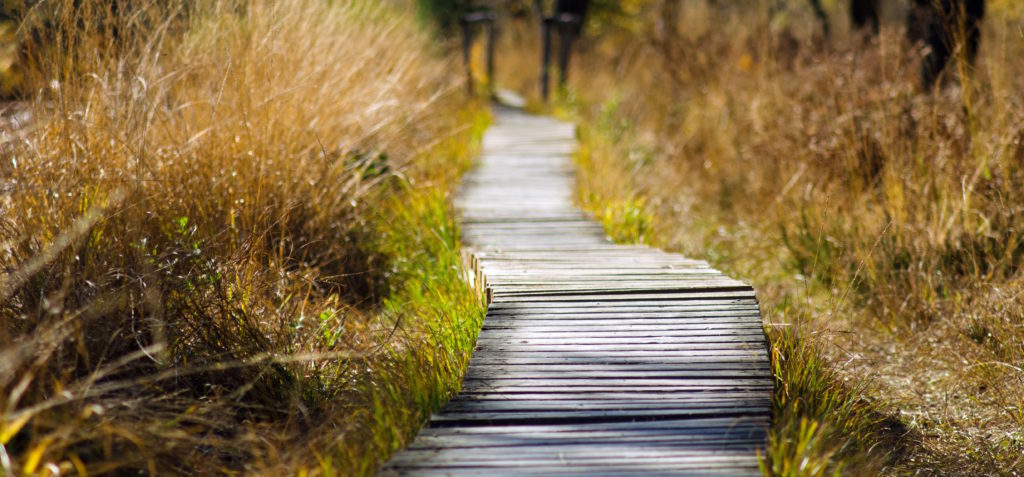 HTH: How Do I Find God’s Will for My Life?