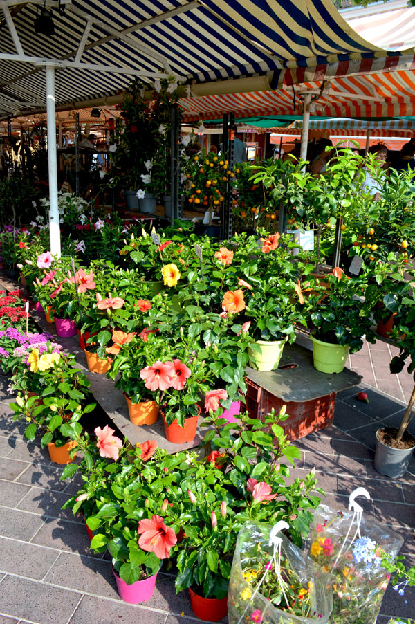 COURS-SALEYA-Marché-des-fleurs-Crédit-photo-©-CRT-Côte-dAzur-France