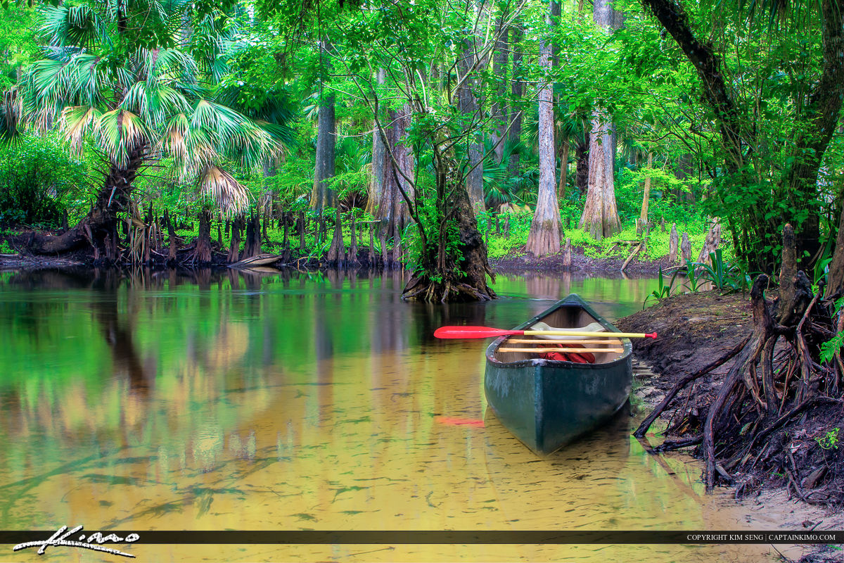 Loxahatchee River Canoe along the Shore Royal Stock Photo