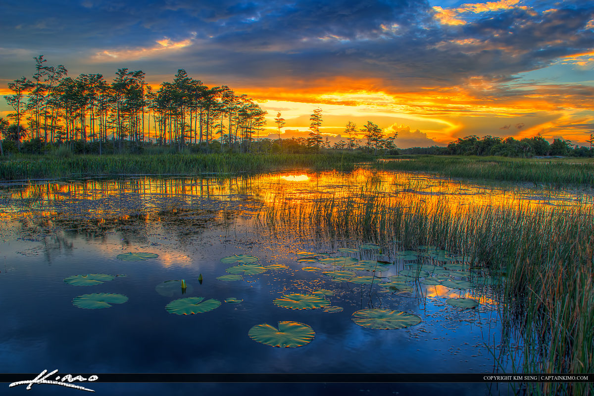 Florida Wetlands Sunset River of Grass Royal Stock Photo