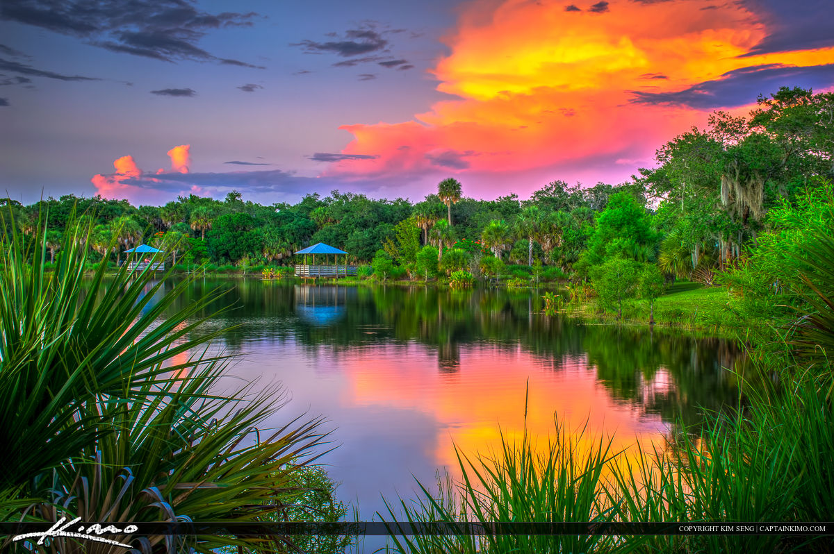 Woodstork Trail At Hillmoor Lake Park Port St Lucie Florida Royal Stock Photo