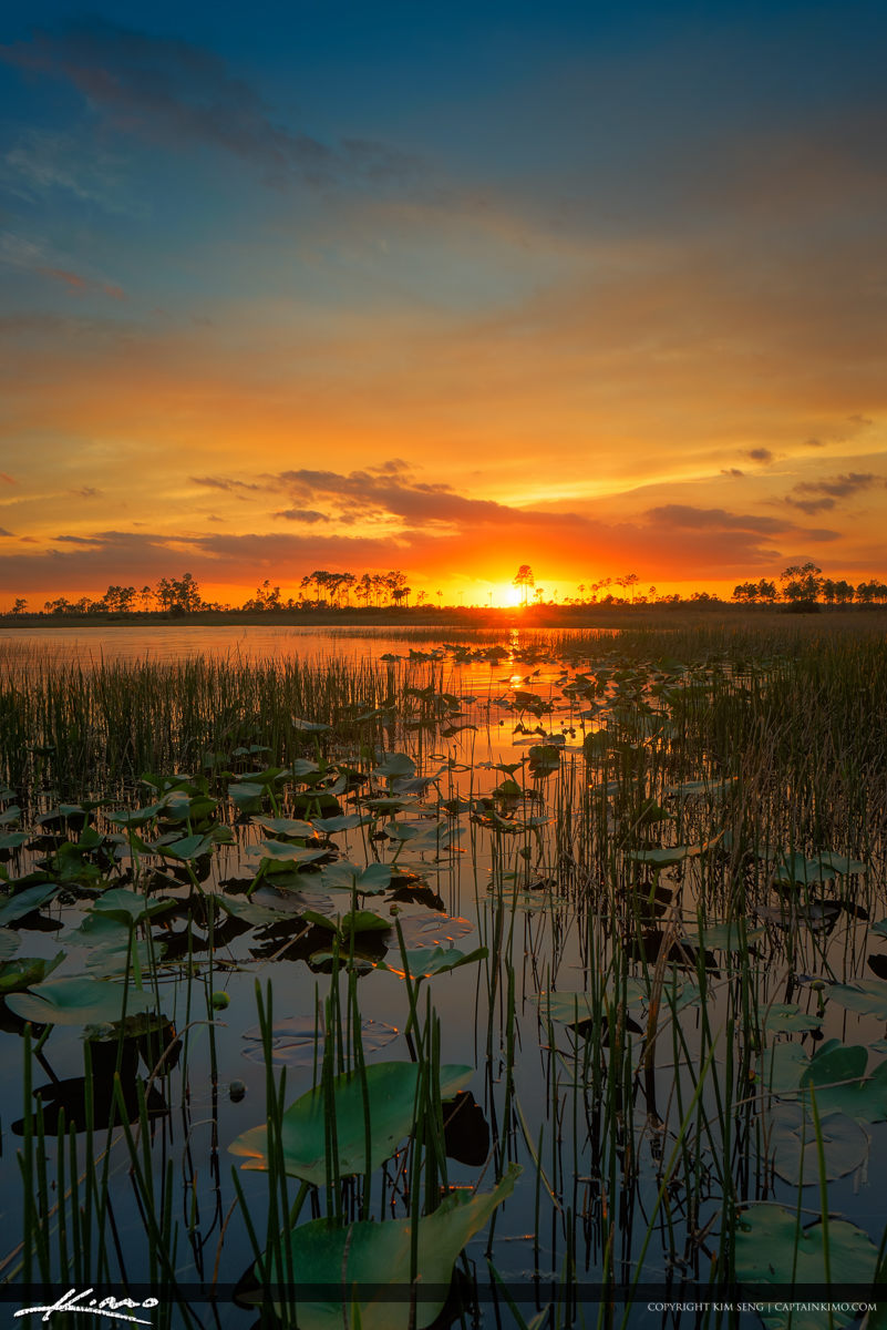 Sunset Pine Glades Wetlands Jupiter Farms Canoeing Royal Stock Photo