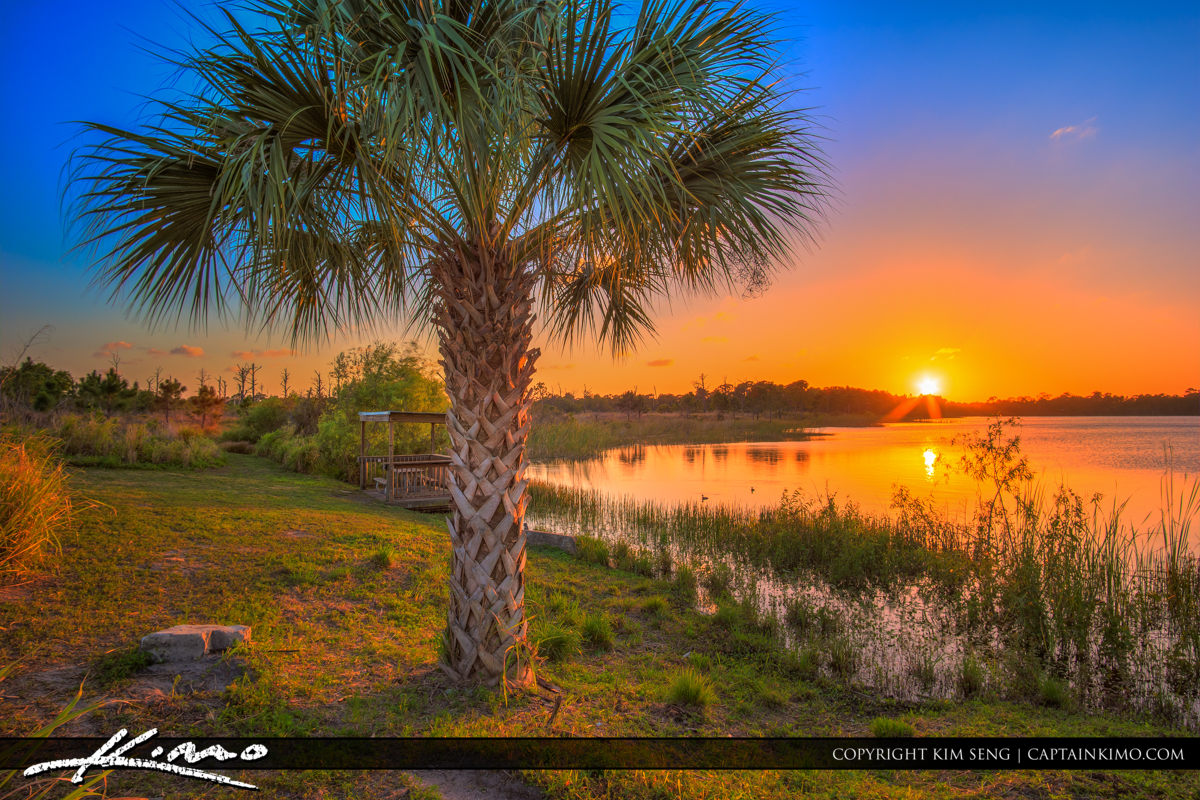 Fort Pierce LeStrange Preserve Palm Tree Sunset Royal Stock Photo
