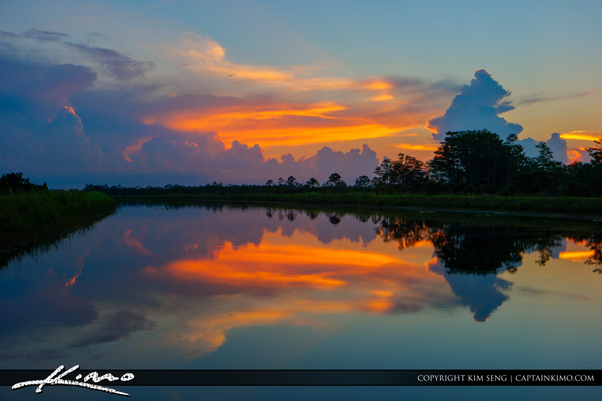 Hungryland Wildlife and Environmental Area Product Tags Royal Stock