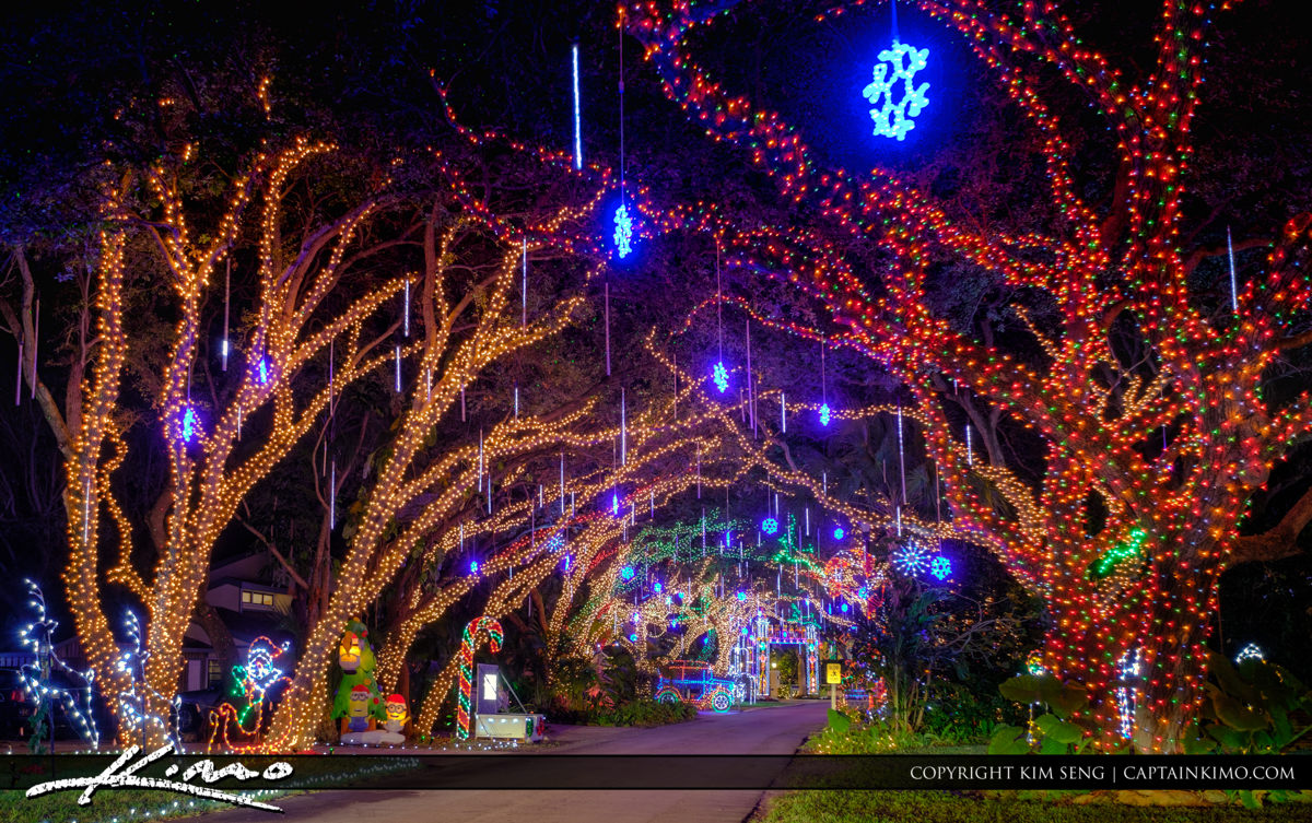 Christmas Lights on Oak Trees along Snug Harbor Road Royal Stock Photo