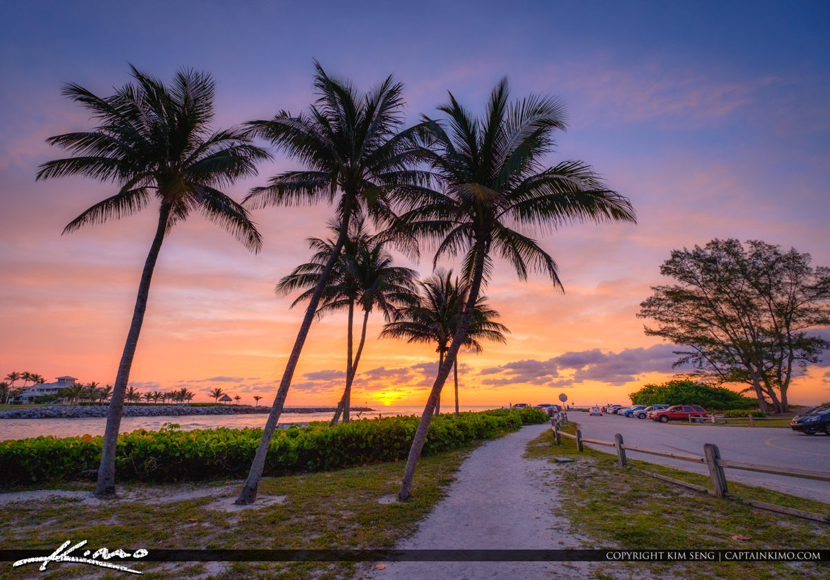 jupiter ocean park Product Tags Royal Stock Photo